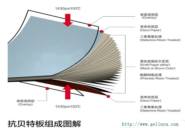 抗倍特板结构